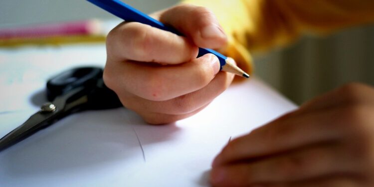 Zajęcia dydaktyczno-wyrównawcze