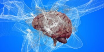 Tydzień Treningu Pamięci + książkowa polecajka + niespodzianka: kod zniżkowy na wybrane książki Wydawnictwa PWN