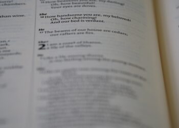 Kursy maturalne historia i WOS – jak przygotować się do matury?