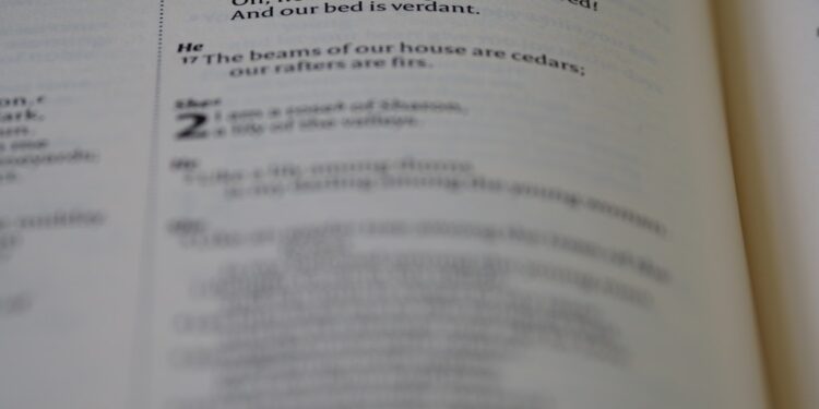 Kursy maturalne historia i WOS – jak przygotować się do matury?