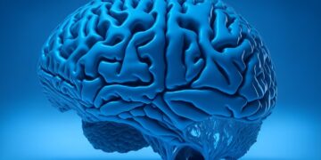 Jak uczyć się skuteczniej? – o tym, jak pamięć wpływa na proces uczenia się