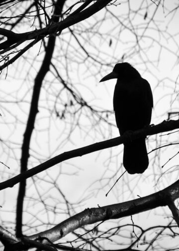 Rozmowa z dzieckiem o przemijaniu i śmierci