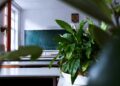 Pomysły na godziny wychowawcze / zajęcia z pedagogiem w czerwcu