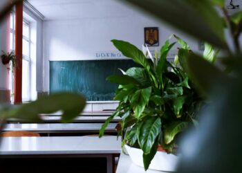 Pomysły na godziny wychowawcze / zajęcia z pedagogiem w czerwcu