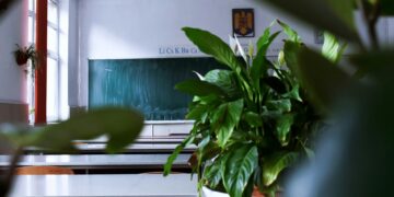 Pomysły na godziny wychowawcze / zajęcia z pedagogiem w czerwcu